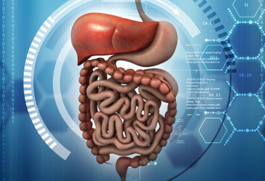 Gastrointestinal Diseases